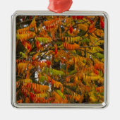 Sumac-Baum in Herbstfarbe in Whitefish, Silbernes Ornament (Vorne)