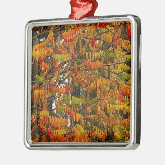Sumac-Baum in Herbstfarbe in Whitefish, Silbernes Ornament (Links)