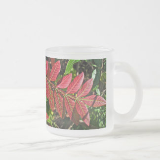 sumac-Blätter im Herbst Mattglastasse