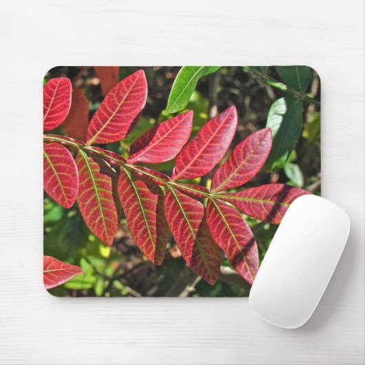 sumac-Blätter im Herbst Mousepad (Mit Mouse)