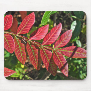 sumac-Blätter im Herbst Mousepad