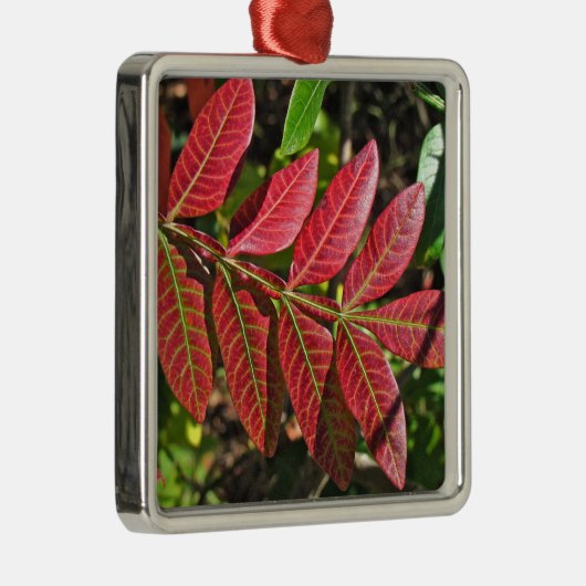 sumac-Blätter im Herbst Silbernes Ornament (Rechts)