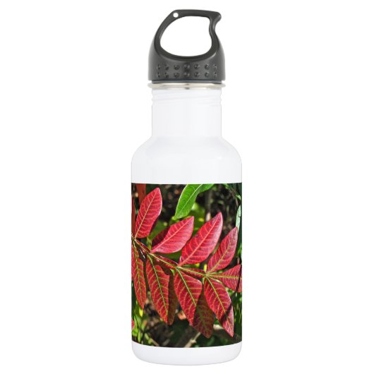 sumac-Blätter im Herbst Trinkflasche (Vorderseite)