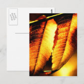 Sumac-Blätter Postkarte (Vorne/Hinten)