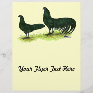 Sumatra Black Chickens Flyer