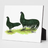 Sumatra Black Chickens Fotoplatte (Seite)