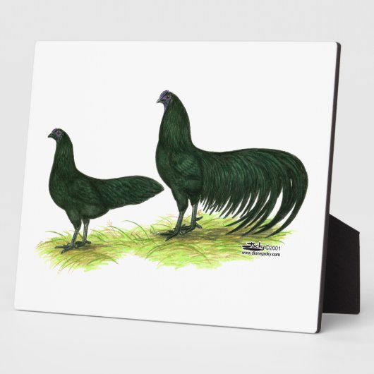 Sumatra Black Chickens Fotoplatte (Seite)