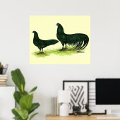 Sumatra Black Chickens Poster (Heimbüro)