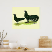 Sumatra Black Chickens Poster (Küche)