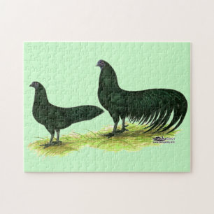 Sumatra Black Chickens Puzzle