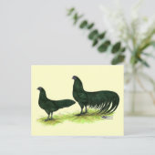 Sumatra Black Hühner Postkarte (Stehend Vorderseite)