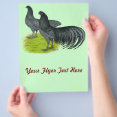 Sumatra:  Blauer Pair Flyer (Hand)