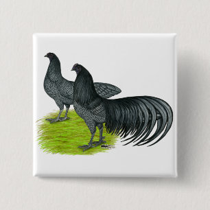 Sumatra: Blaues Paar Button