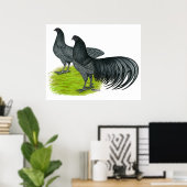 Sumatra: Blaues Paar Poster (Heimbüro)