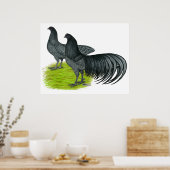 Sumatra: Blaues Paar Poster (Küche)