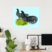 Sumatra: Blaues Paar Poster (Heimbüro)