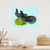 Sumatra: Blaues Paar Poster (Küche)