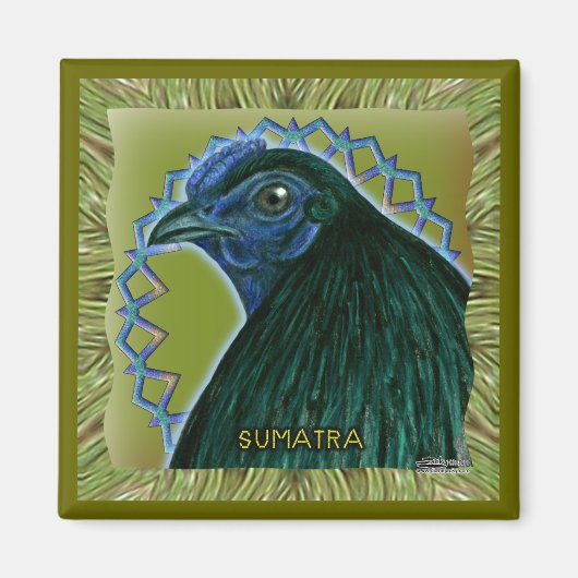 Sumatra Hahn gerahmt Magnet (Vorne)