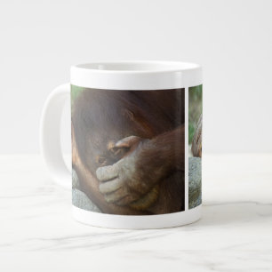 Sumatra-Orang-Utan, Pongo pygmaeus Jumbo-Tasse