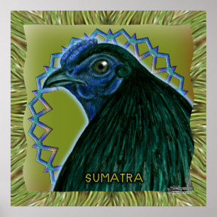 Sumatra Rooster Gerahmt Poster