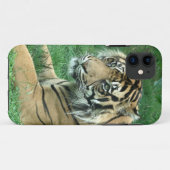 Sumatra-Tiger auf iPhone 5 kaum dort Case-Mate iPhone Hülle (Rückseite (Horizontal))