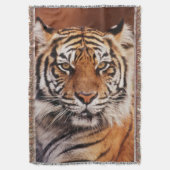 Sumatra-Tiger Decke (Vorderseite Vertikal)