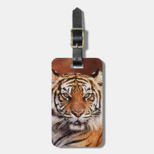 Sumatra-Tiger Gepäckanhänger