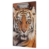Sumatra-Tiger Klemmbrett (Links)