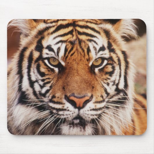 Sumatra-Tiger Mousepad (Vorne)