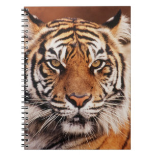 Sumatra-Tiger Notizblock