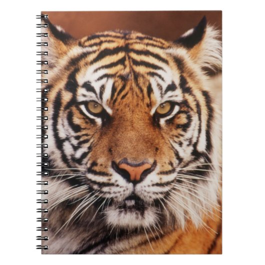 Sumatra-Tiger Notizblock (Vorderseite)
