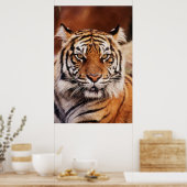 Sumatra-Tiger Poster (Küche)