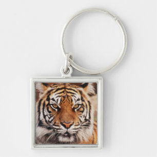 Sumatra-Tiger Schlüsselanhänger