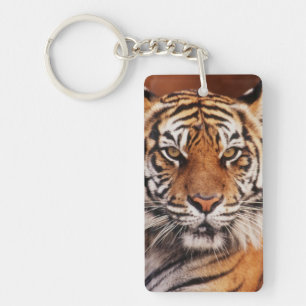 Sumatra-Tiger Schlüsselanhänger