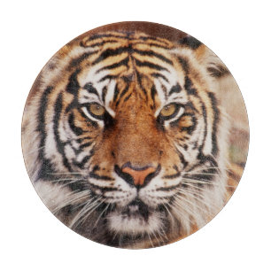 Sumatra-Tiger Schneidebrett