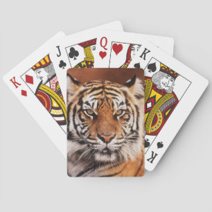 Sumatra-Tiger Spielkarten