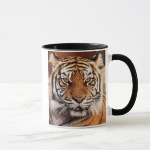 Sumatra-Tiger Tasse