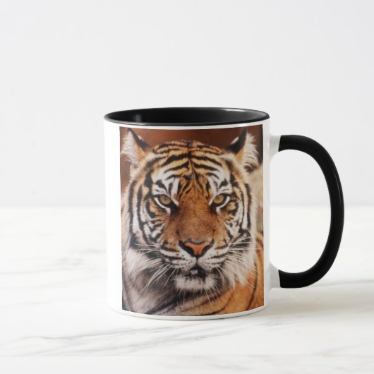 Sumatra-Tiger Tasse (Rechts)