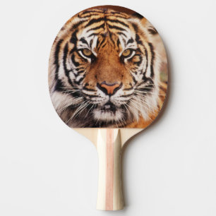Sumatra-Tiger Tischtennis Schläger