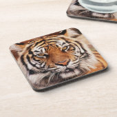 Sumatra-Tiger Untersetzer (Linke Seite)