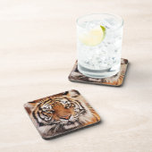 Sumatra-Tiger Untersetzer (Rechte Seite)