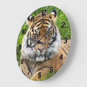 Sumatra-Tiger-Wildlife-Foto Große Wanduhr (Winkel)
