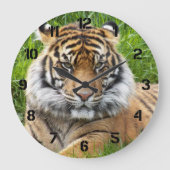 Sumatra-Tiger-Wildlife-Foto Große Wanduhr (Vorderseite)