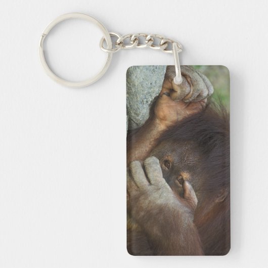 Sumatran Orang-Utan, Pongo pygmaeus Schlüsselanhänger (Vorderseite)