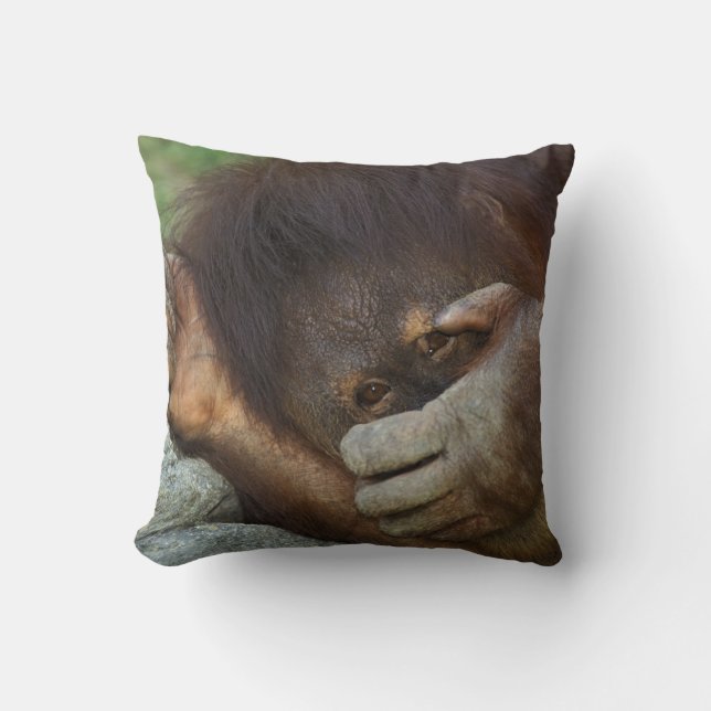 Sumatran Orangutan Pongo pygmaeus Kissen (Vorderseite)