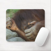 Sumatran Orangutan Pongo pygmaeus Mousepad (Mit Mouse)