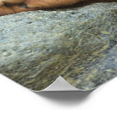 Sumatran Orangutan Pongo pygmaeus Poster (Ecke)