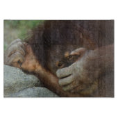 Sumatran Orangutan Pongo pygmaeus Schneidebrett (Vorderseite)