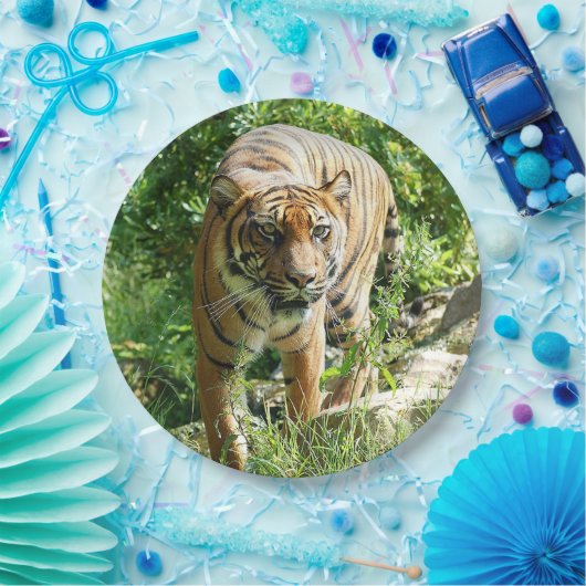 Sumatran Tiger 1 Pappteller (Party)