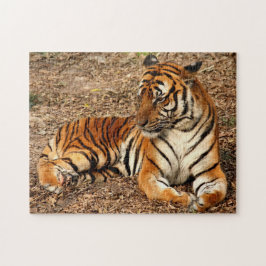 Sumatran Tiger 2 Puzzle